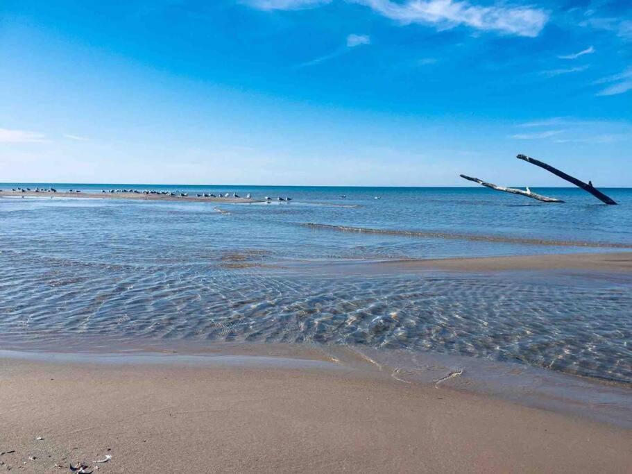 Cozy Cottage Retreat Lambton Shores 外观 照片